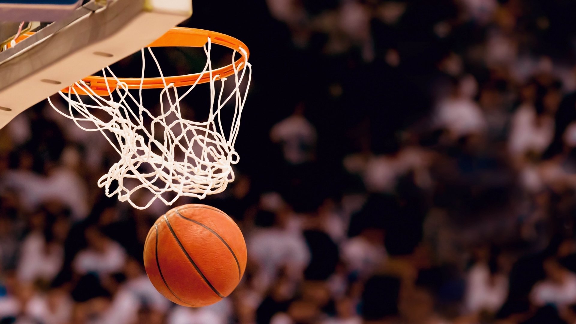 郑钦文热火跨界引热议，网坛女王闯NBA，是流量豪赌还是实力破圈？|九游体育在线直播